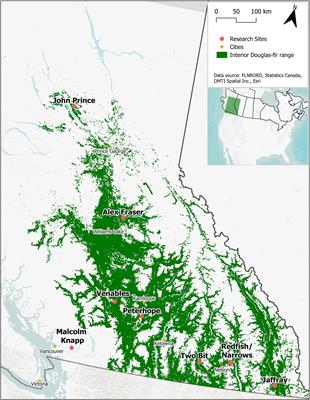 Tree Diversity, Site Index, and Carbon Storage Decrease With Aridity in Douglas-Fir Forests in Western Canada